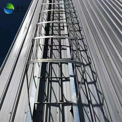 مستودع هيكل فولاذ بأسعار معينة مع جدار لوحة ساندوتش للتخزين الفعال من حيث الطاقة